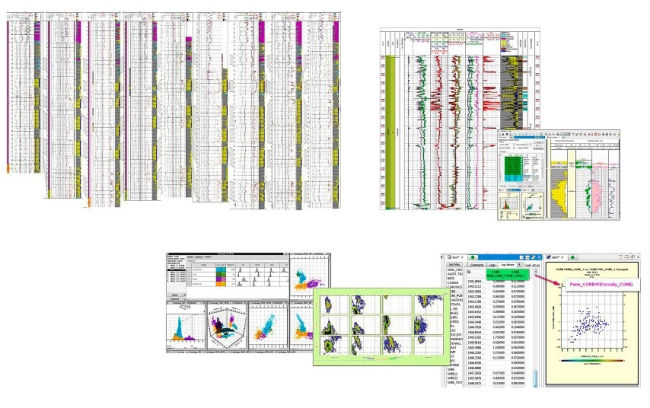 processing interpretation geological geophysical information wells